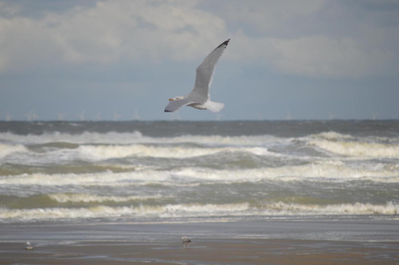 Huisjes Aan Zee De Haan Exterior foto